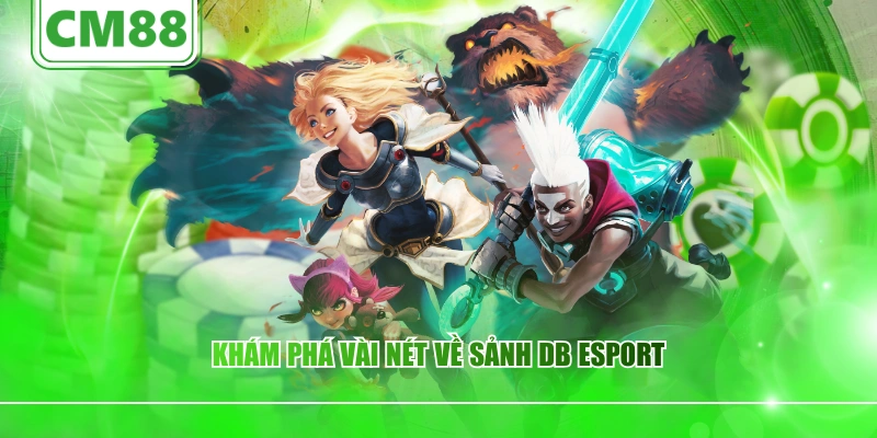 Khám phá vài nét về sảnh DB esport