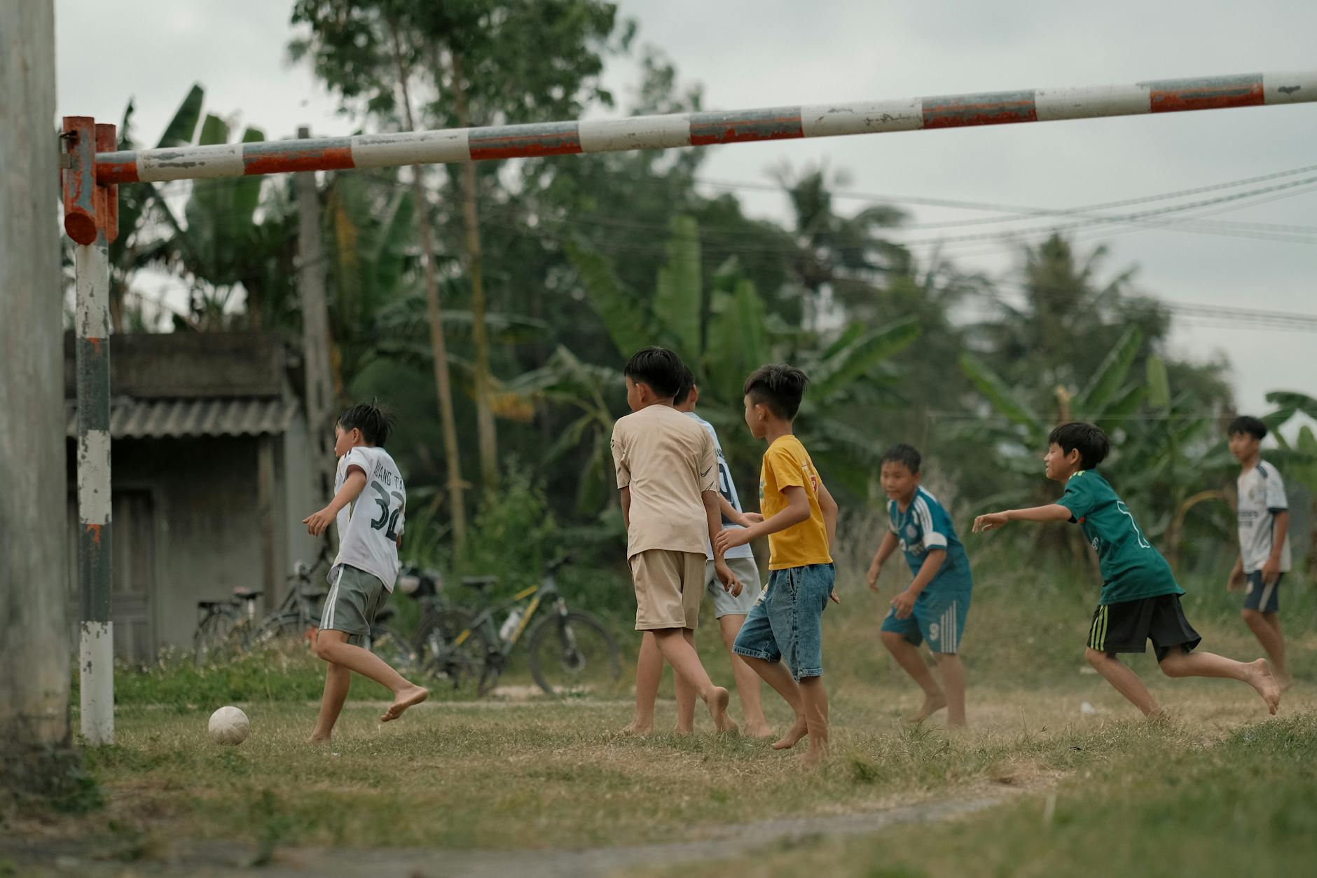 Đàn cá di chuyển theo cụm trong game bắn cá để minh họa cách chọn mục tiêu