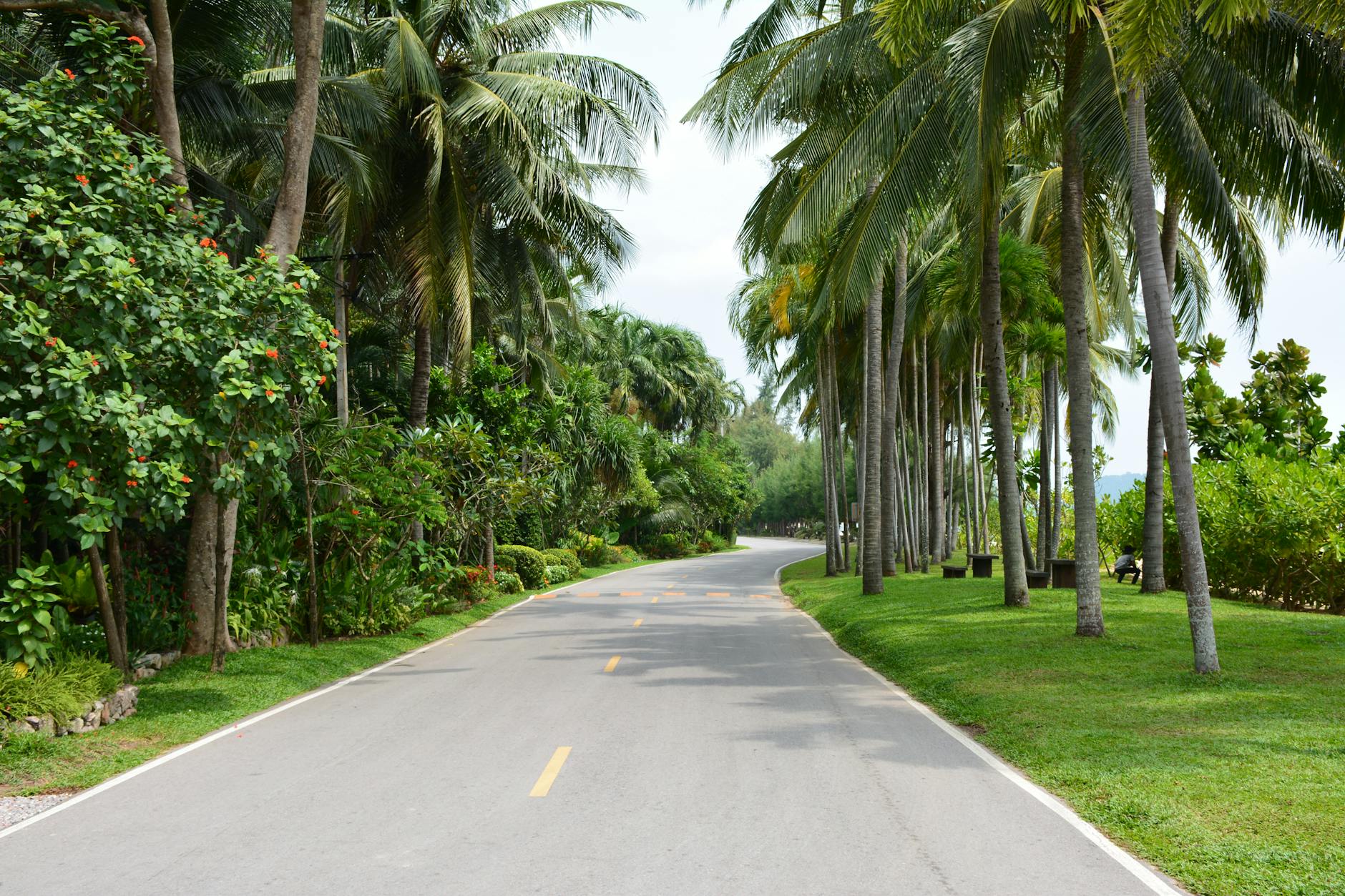 Bảng chiến thuật và thống kê bàn thắng trước trận đấu